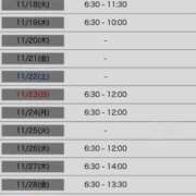 ヒメ日記 2025/11/08 17:08 投稿 しゅう 桃李（とうり）