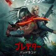 ヒメ日記 2025/11/11 04:24 投稿 しゅう 桃李（とうり）