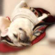 ヒメ日記 2025/11/12 05:07 投稿 しゅう 桃李（とうり）