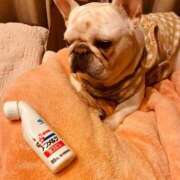 ヒメ日記 2025/11/13 05:04 投稿 しゅう 桃李（とうり）