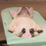 ヒメ日記 2025/12/10 05:14 投稿 しゅう 桃李（とうり）