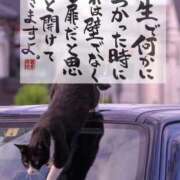 ヒメ日記 2025/12/15 16:47 投稿 しゅう 桃李（とうり）