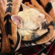 ヒメ日記 2025/12/20 05:04 投稿 しゅう 桃李（とうり）