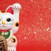 ヒメ日記 2025/12/23 15:17 投稿 しゅう 桃李（とうり）