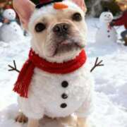 ヒメ日記 2025/12/24 04:15 投稿 しゅう 桃李（とうり）