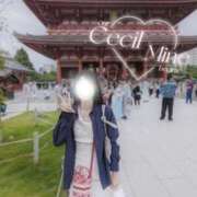 ヒメ日記 2025/06/18 08:15 投稿 みん CECIL