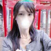 ヒメ日記 2025/06/19 12:03 投稿 みん CECIL