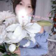 ヒメ日記 2025/06/20 15:46 投稿 みん CECIL