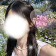 ヒメ日記 2025/06/21 08:01 投稿 みん CECIL