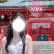 ヒメ日記 2025/06/25 16:50 投稿 みん CECIL