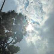 ヒメ日記 2025/07/10 13:19 投稿 みん CECIL