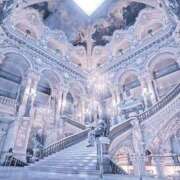 ヒメ日記 2025/07/11 06:39 投稿 みん CECIL