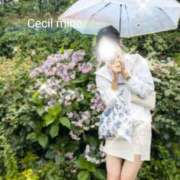 ヒメ日記 2025/07/30 08:11 投稿 みん CECIL