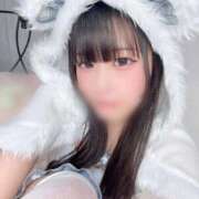 ヒメ日記 2026/02/20 13:05 投稿 こはく E+アイドルスクール新宿・歌舞伎町店