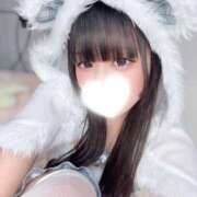 ヒメ日記 2026/03/01 21:33 投稿 こはく E+アイドルスクール新宿・歌舞伎町店