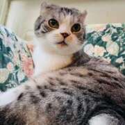 ヒメ日記 2025/06/21 19:29 投稿 奈乃(なの) 人妻城 横浜本店