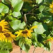 ヒメ日記 2025/07/21 16:00 投稿 奈乃(なの) 人妻城 横浜本店