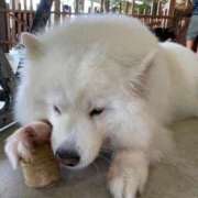 ヒメ日記 2025/07/28 17:16 投稿 奈乃(なの) 人妻城 横浜本店