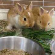 ヒメ日記 2025/08/01 18:54 投稿 奈乃(なの) 人妻城 横浜本店