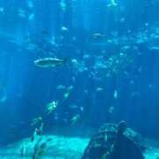 ヒメ日記 2025/08/01 18:58 投稿 奈乃(なの) 人妻城 横浜本店