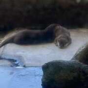 ヒメ日記 2025/08/03 10:40 投稿 奈乃(なの) 人妻城 横浜本店