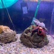 ヒメ日記 2025/08/17 10:18 投稿 奈乃(なの) 人妻城 横浜本店