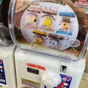 ヒメ日記 2025/09/03 01:26 投稿 奈乃(なの) 人妻城 横浜本店