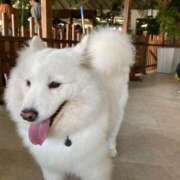 ヒメ日記 2025/09/18 16:43 投稿 奈乃(なの) 人妻城 横浜本店