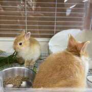 ヒメ日記 2025/09/26 18:02 投稿 奈乃(なの) 人妻城 横浜本店