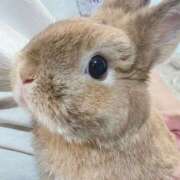 ヒメ日記 2025/09/30 17:22 投稿 奈乃(なの) 人妻城 横浜本店