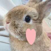 ヒメ日記 2025/10/05 17:47 投稿 奈乃(なの) 人妻城 横浜本店