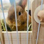 ヒメ日記 2025/10/12 11:21 投稿 奈乃(なの) 人妻城 横浜本店