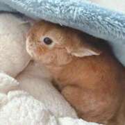 ヒメ日記 2025/10/16 04:51 投稿 奈乃(なの) 人妻城 横浜本店