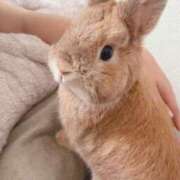 ヒメ日記 2025/10/17 20:08 投稿 奈乃(なの) 人妻城 横浜本店