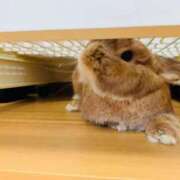 ヒメ日記 2025/11/02 16:40 投稿 奈乃(なの) 人妻城 横浜本店