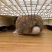 ヒメ日記 2025/11/11 22:52 投稿 奈乃(なの) 人妻城 横浜本店