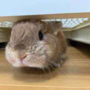 ヒメ日記 2025/11/27 08:41 投稿 奈乃(なの) 人妻城 横浜本店