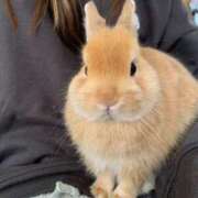 ヒメ日記 2025/11/30 23:29 投稿 奈乃(なの) 人妻城 横浜本店