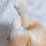 奈乃(なの) 12がつ♡ 人妻城 横浜本店