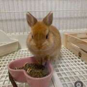 ヒメ日記 2025/12/23 15:37 投稿 奈乃(なの) 人妻城 横浜本店