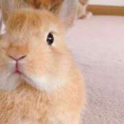 ヒメ日記 2026/01/24 02:32 投稿 奈乃(なの) 人妻城 横浜本店