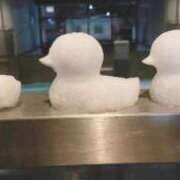 ヒメ日記 2026/02/09 19:47 投稿 奈乃(なの) 人妻城 横浜本店