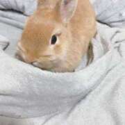 ヒメ日記 2026/02/15 22:17 投稿 奈乃(なの) 人妻城 横浜本店