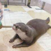 ヒメ日記 2026/02/23 00:00 投稿 奈乃(なの) 人妻城 横浜本店