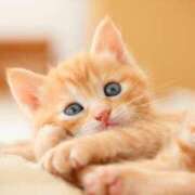 ヒメ日記 2026/02/23 00:13 投稿 奈乃(なの) 人妻城 横浜本店