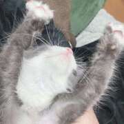 ヒメ日記 2026/03/28 22:01 投稿 奈乃(なの) 人妻城 横浜本店