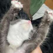 ヒメ日記 2026/04/02 02:41 投稿 奈乃(なの) 人妻城 横浜本店