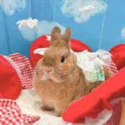 奈乃(なの) 6月2日♡ 人妻城 横浜本店