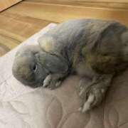 ヒメ日記 2025/09/25 18:53 投稿 RURU Big Tits(ビッグティッツ)