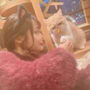 ヒメ日記 2025/08/17 01:23 投稿 舞 池袋角海老